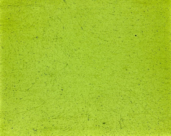 Lime Green Seedy Yorkshire Glass
